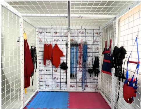 Skill Cage (Complete)