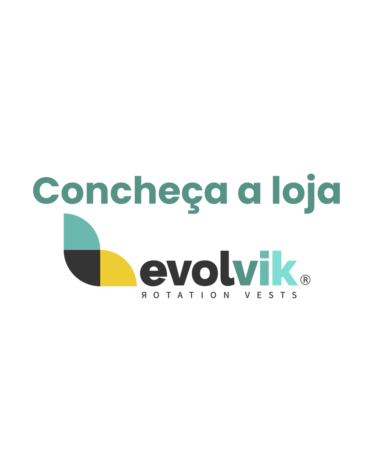 Evolvik